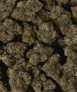 213 OG