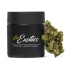 Buy King Louis OG
