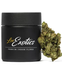 Buy King Louis OG