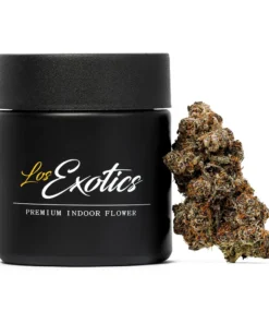 Buy Pineapple Beltz