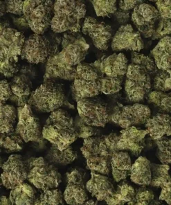 Alternative view of Buy 818 OG