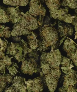 Alternative view of Buy Zkittlez