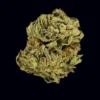 Buy Super Silver Haze THCA Flower | Super Silver Haze THCA Flower for sale | Super Silver Haze THCA Flower delivery