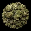 Buy bTropical Gelato THCA Flower | Tropical Gelato THCA Flower for sale | Tropical Gelato THCA Flower delivery