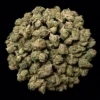 Buy Blue Zushi THCA Flower | Blue Zushi THCA Flower for sale | Blue Zushi THCA Flower delivery