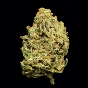 Buy Gruntz THCA Flower | Gruntz THCA Flower for sale | Gruntz THCA Flower delivery