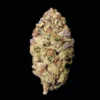 Buy Rainbow Runtz THCA Flower | Rainbow Runtz THCA Flower for sale | Rainbow Runtz THCA Flower delivery