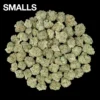 Buy Cake Bomb THCA Flower | Cake Bomb THCA Flower for sale | Cake Bomb THCA Flower delivery