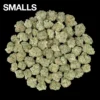 Buy BOLO Runtz THCA Flower | BOLO Runtz THCA Flower for sale | BOLO Runtz THCA Flower delivery