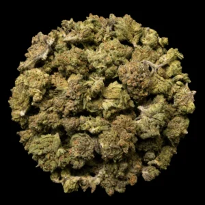 Buy Banana Cream Pie THCA Flower | Buy Banana Cream Pie THCA Flower for sale | Buy Banana Cream Pie THCA Flower delivery