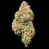 Buy BOLO Runtz THCA Flower | BOLO Runtz THCA Flower for sale | BOLO Runtz THCA Flower delivery