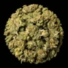 Buy Candy Runtz THCA Flower | Candy Runtz THCA Flower for sale | Candy Runtz THCA Flower delivery