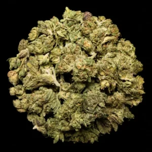 Buy Sherbert THCA Flower | Sherbert THCA Flower for sale | Buy Sherbert THCA Flower delivery