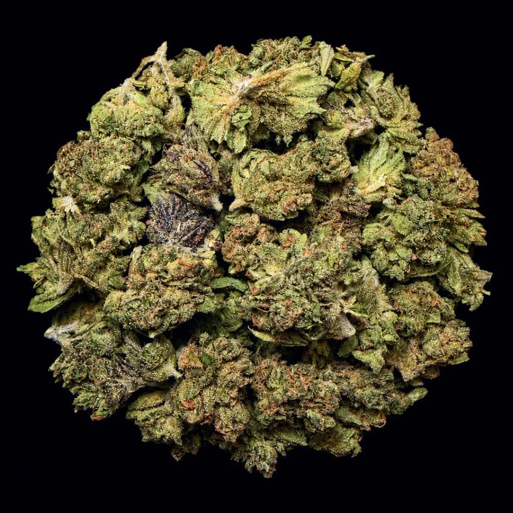 Buy Sour Gushers THCA Flower | Sour Gushers THCA Flower for sale | Sour Gushers THCA Flower delivery