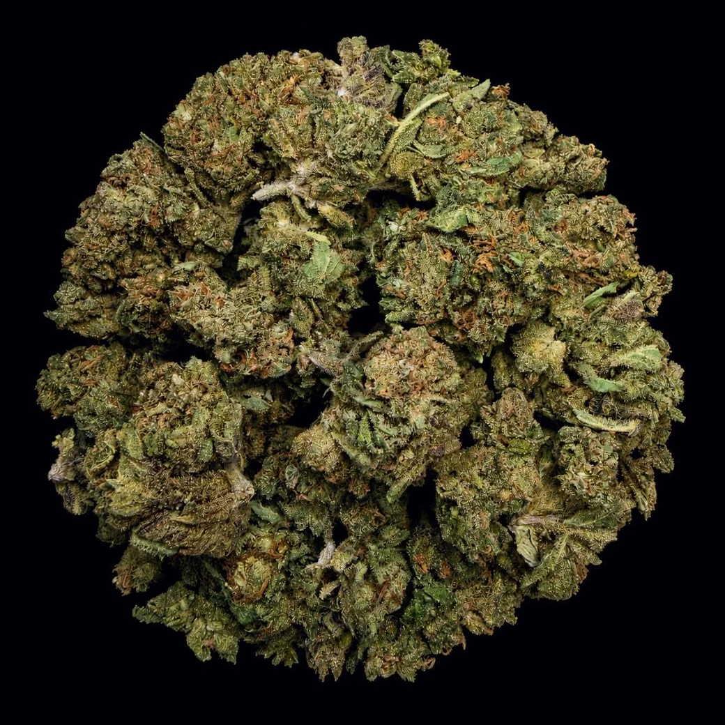 Buy Carbon Fiber THCA Flower | Carbon Fiber THCA Flower for sale | Carbon Fiber THCA Flower delivery