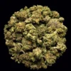 Buy Grape Cream Cake THCA Flower | Grape Cream Cake THCA Flower for sale | Buy Grape Cream Cake THCA Flower delivery