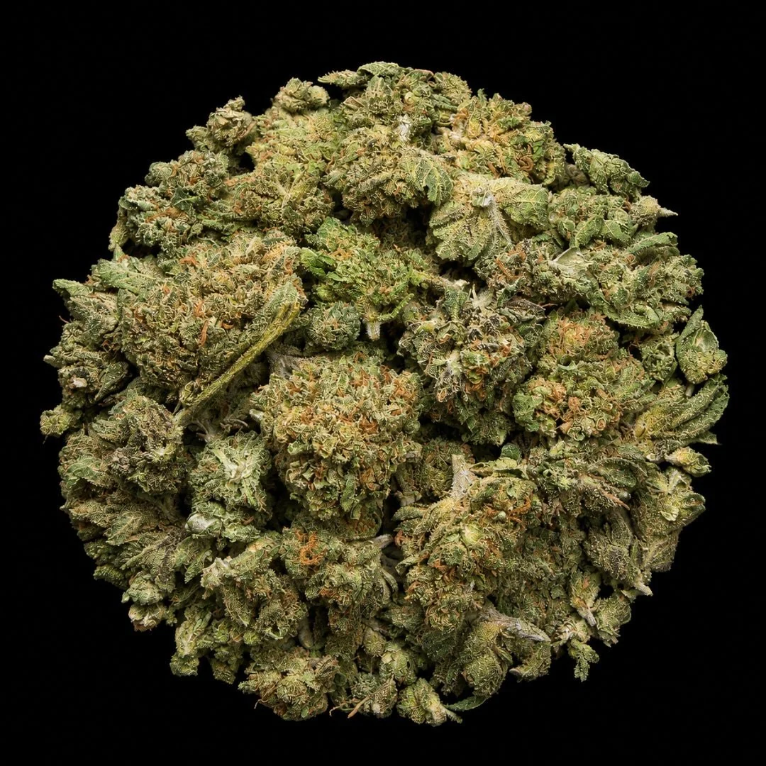 Buy Formula One THCA Flower | Formula One THCA Flower for sale | Formula One THCA Flower online