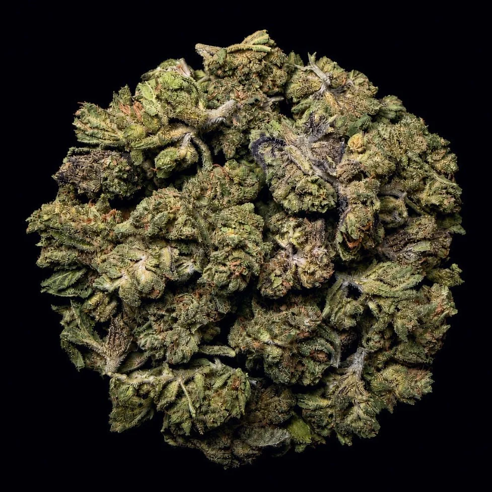 Buy Grape Candy THCA Flower | Grape Candy THCA Flower for sale | Grape Candy THCA Flower delivery