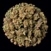 Buy Fire Crotch THCA Flower | Fire Crotch THCA Flower for sale | Fire Crotch THCA Flower delivery