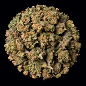 Buy Fire Crotch THCA Flower | Fire Crotch THCA Flower for sale | Fire Crotch THCA Flower delivery