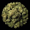 Buy Mile High Slurpee THCA Flower | Mile High Slurpee THCA Flower | Mile High Slurpee THCA Flower delivery