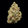 Buy Pink Rosay THCA Flower | Pink Rosay THCA Flower for sale | Pink Rosay THCA Flower delivery