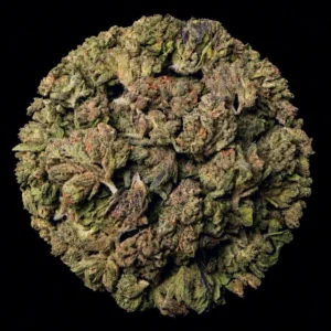 Buy Red Velvet Gary THCA Flower | Buy Red Velvet Gary THCA Flower | Red Velvet Gary THCA Flower | Red Velvet Gary THCA Flower delivery