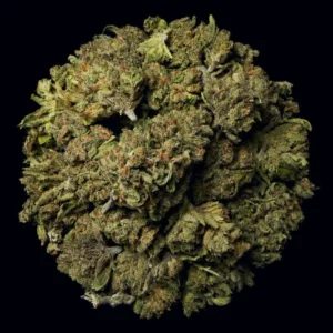 Buy Rocket Fuel THCA Flower | Rocket Fuel THCA Flower | Rocket Fuel THCA Flower for sale