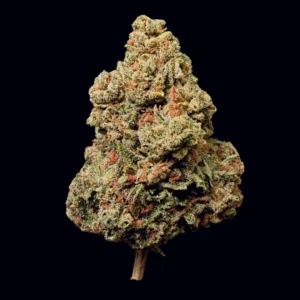 Buy Sherbanger THCA Flower | Sherbanger THCA Flower for sale | Sherbanger THCA Flower delivery
