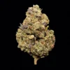 Buy Zushi THCA Flower | Zushi THCA Flower for sale | Zushi THCA Flower delivery