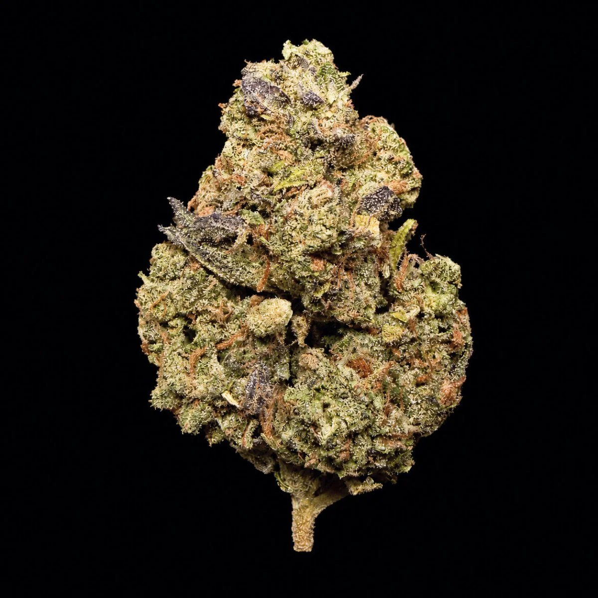 Buy Zushi THCA Flower | Zushi THCA Flower for sale | Zushi THCA Flower delivery